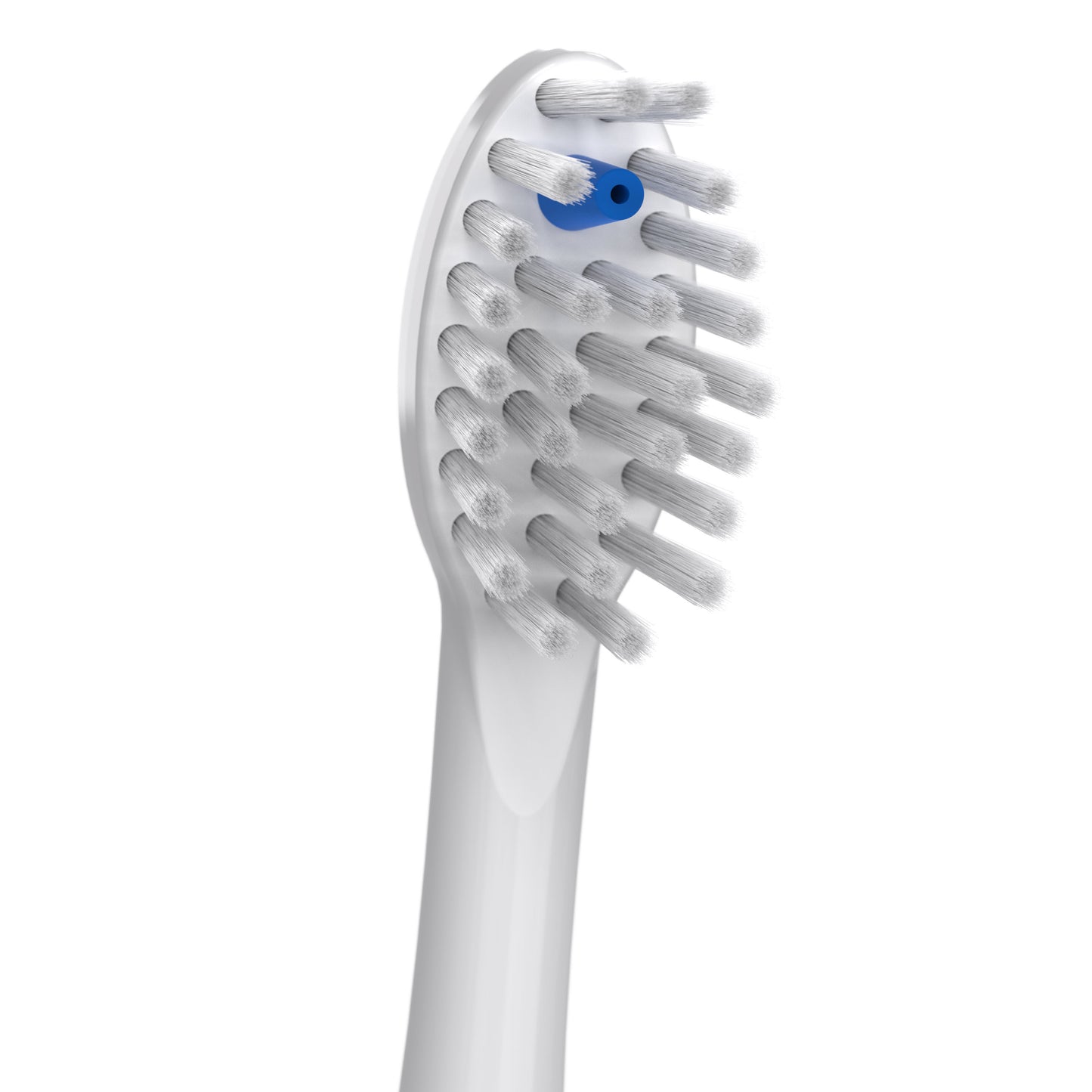 Close Up SFFB-2EW Sonic-Fusion™ Full-Size Brush Heads - White