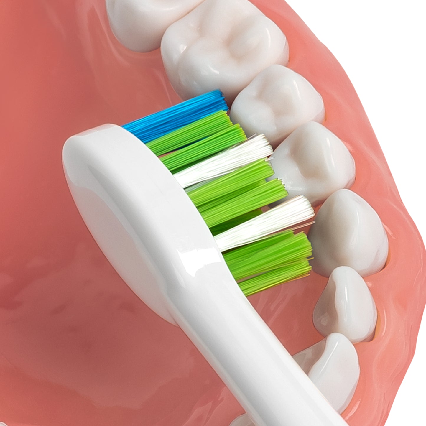 Using STW-03 Sensonic Electric Toothbrush