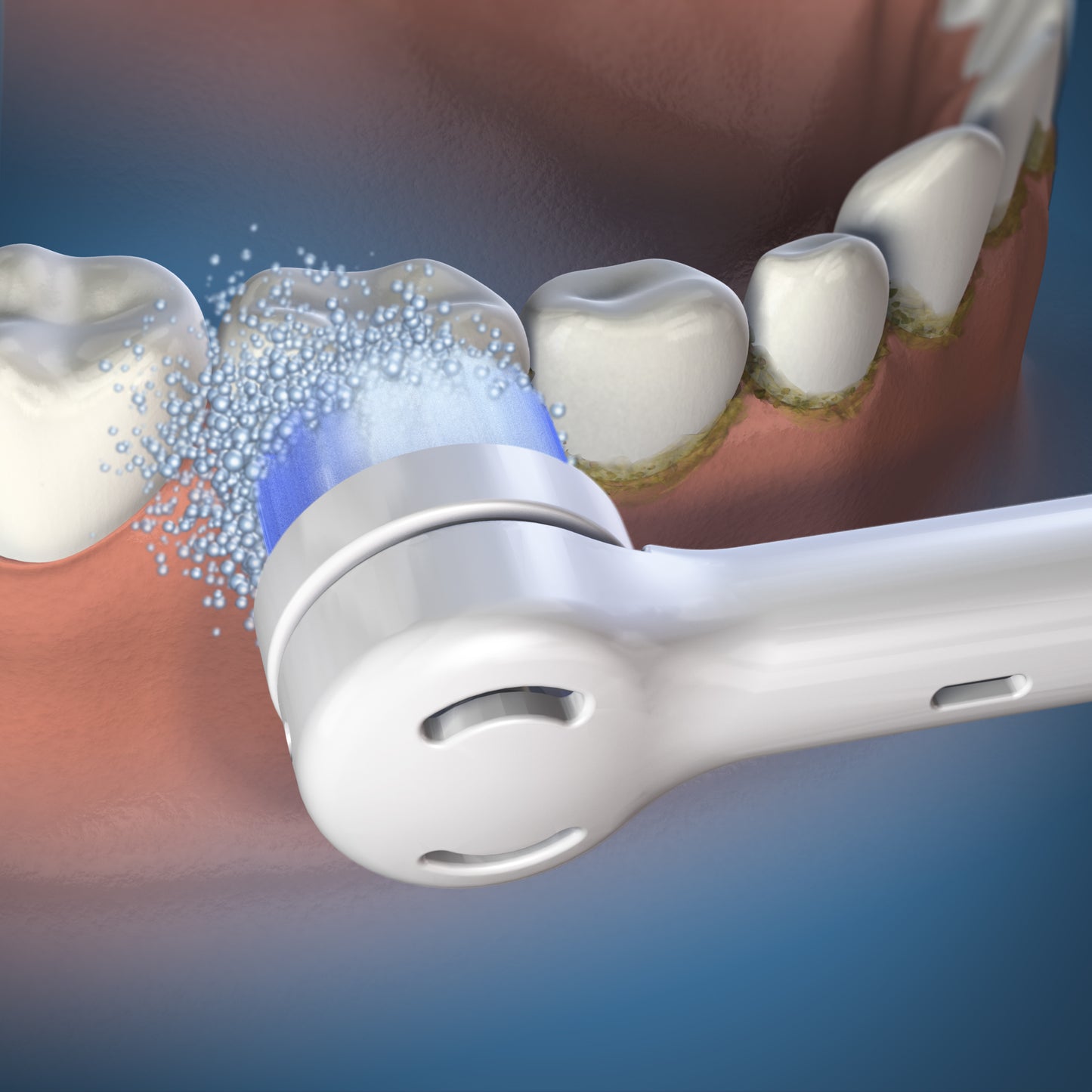 Using OTRB-3WW White Triple Clean Brush Heads
